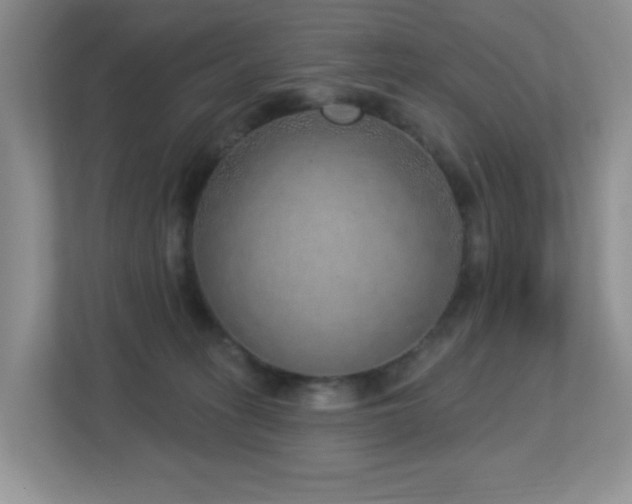 X0000112760275200908201444