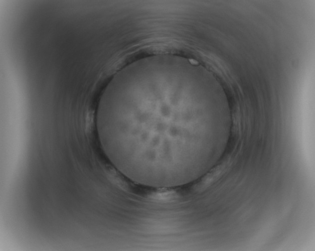 X0000112760278200908201444