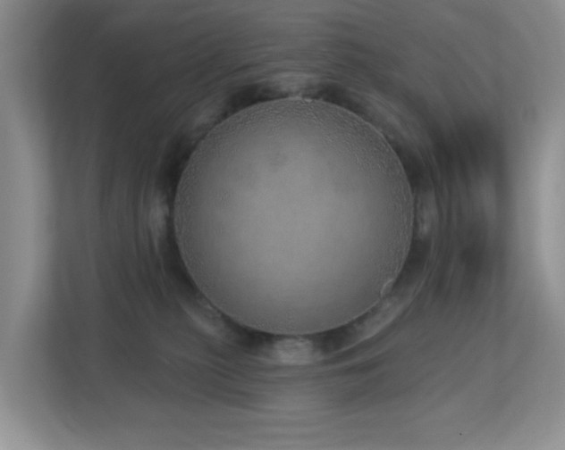 X0000112760279200908201444