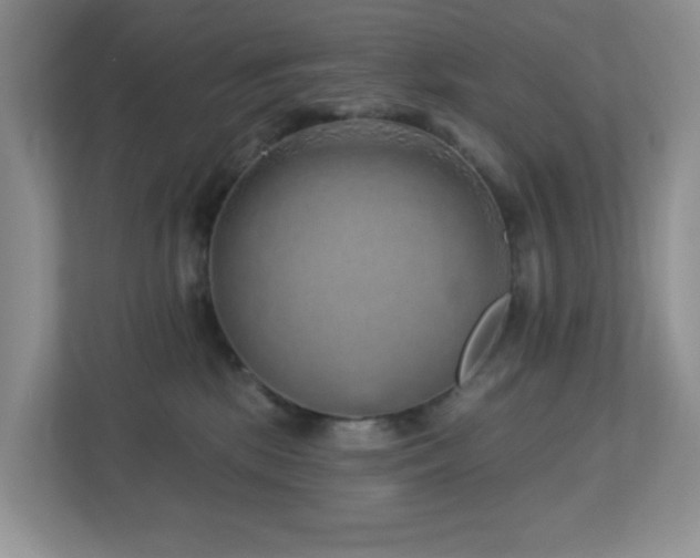 X0000112760281200908201444