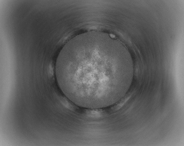 X0000112760282200908201444