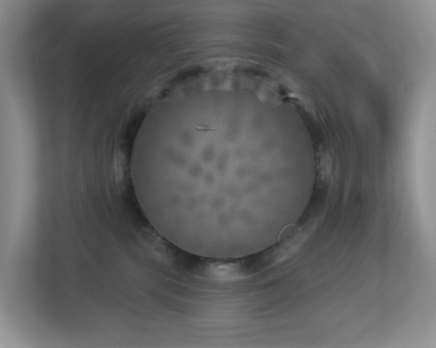 X0000112760283200908201444
