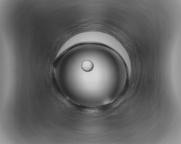 X0000112760284200908201444