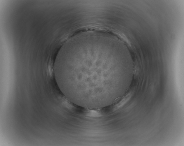 X0000112760285200908201444