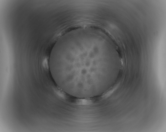X0000112760286200908201444