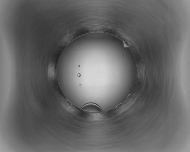 X0000112760287200908201444