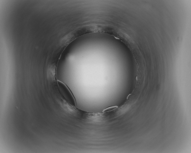 X0000112760288200908201444