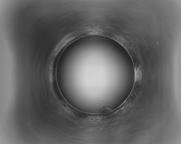 X0000112760291200908201443