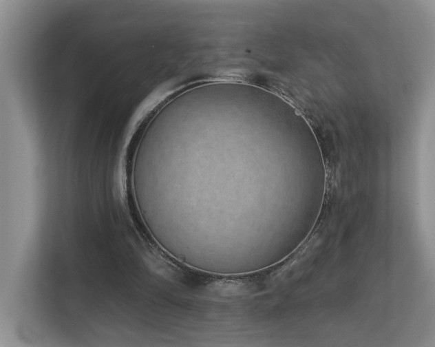 X0000112760294200908201443