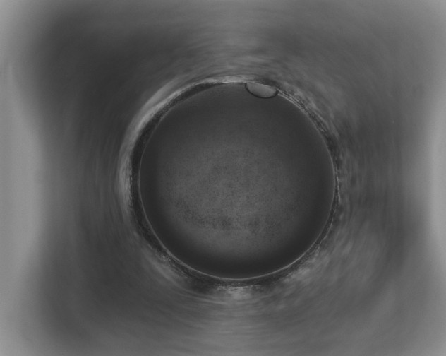 X0000112760295200908201443