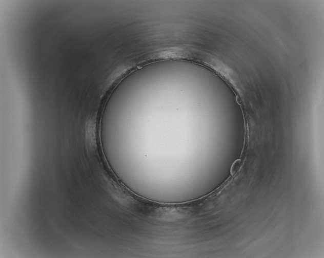 X0000112760297200908201443