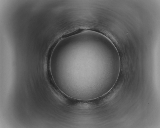 X0000112760299200908201443