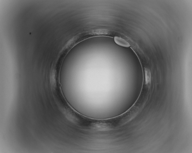 X0000112760300200908201443