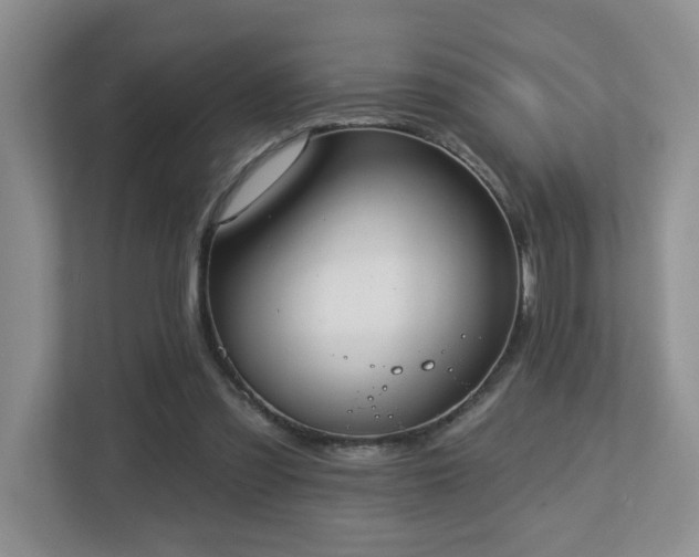 X0000112760301200908201443