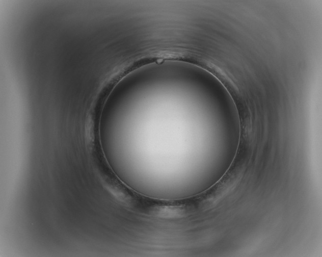 X0000112760303200908201443