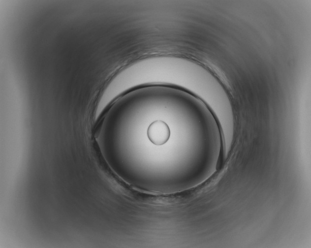 X0000112760305200908201443