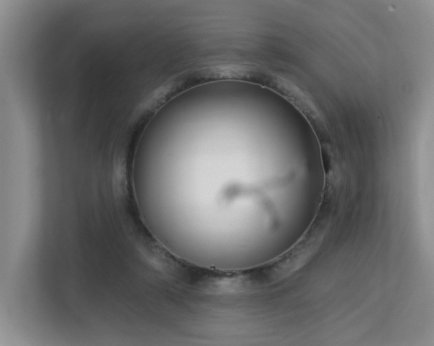 X0000112760306200908201443