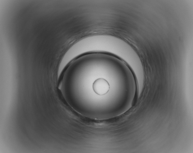 X0000112760309200908201443