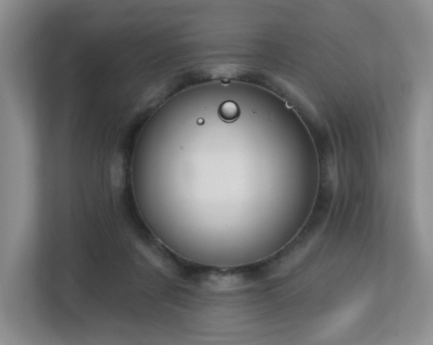 X0000112760311200908201443