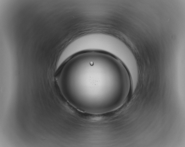 X0000112760313200908201443