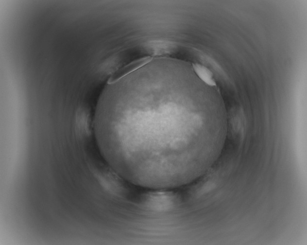 X0000112760316200908201443