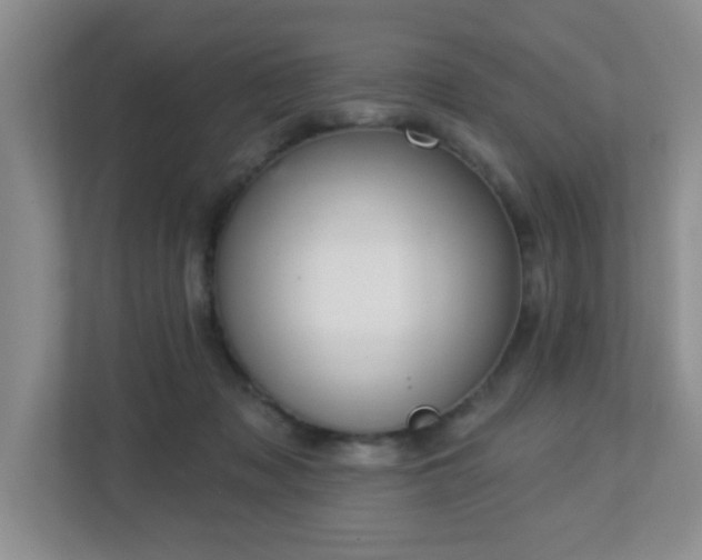 X0000112760317200908201443