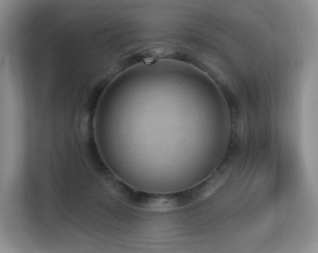 X0000112760319200908201443