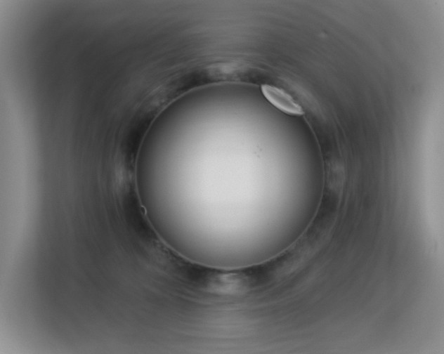 X0000112760324200908201443