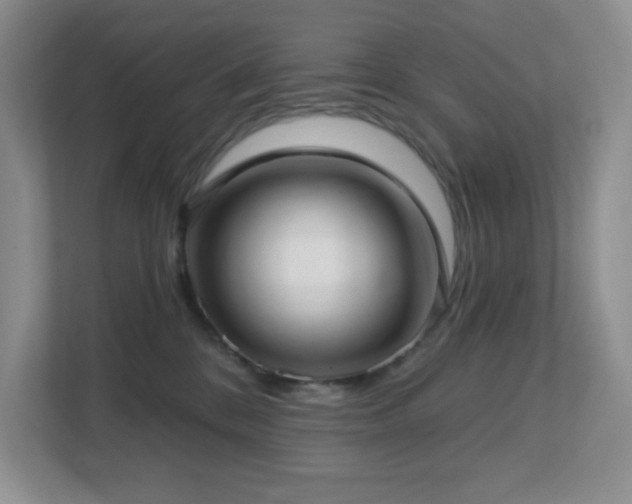 X0000112760328200908201443