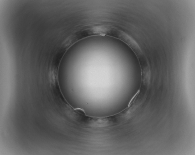 X0000112760329200908201443