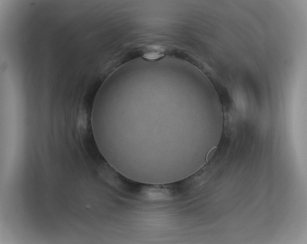 X0000112760331200908201443