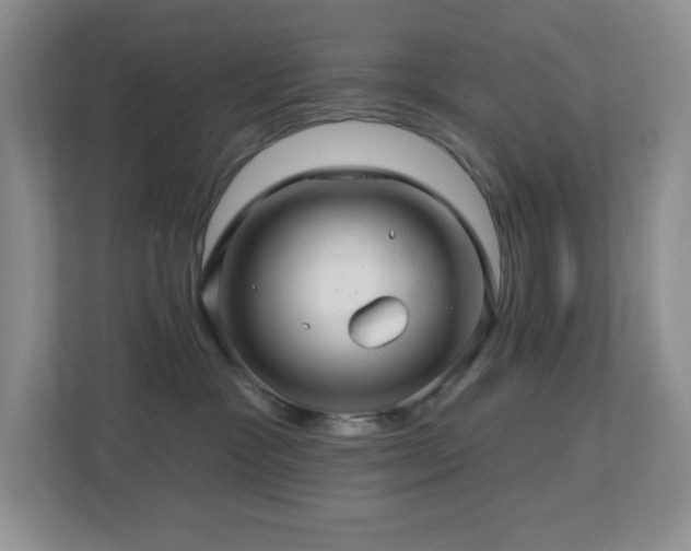 X0000112760333200908201443