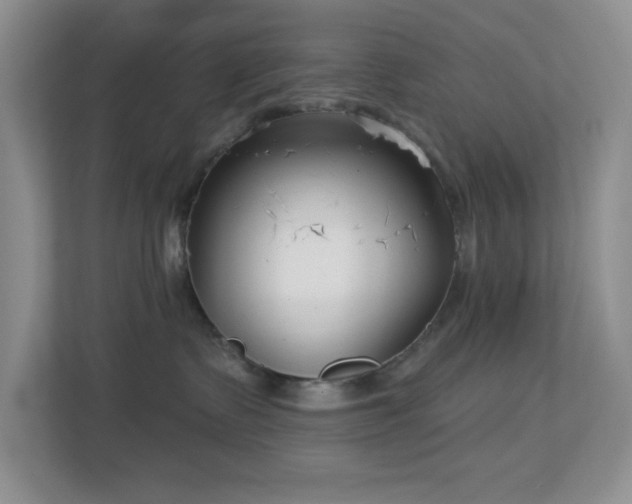 X0000112760335200908201443