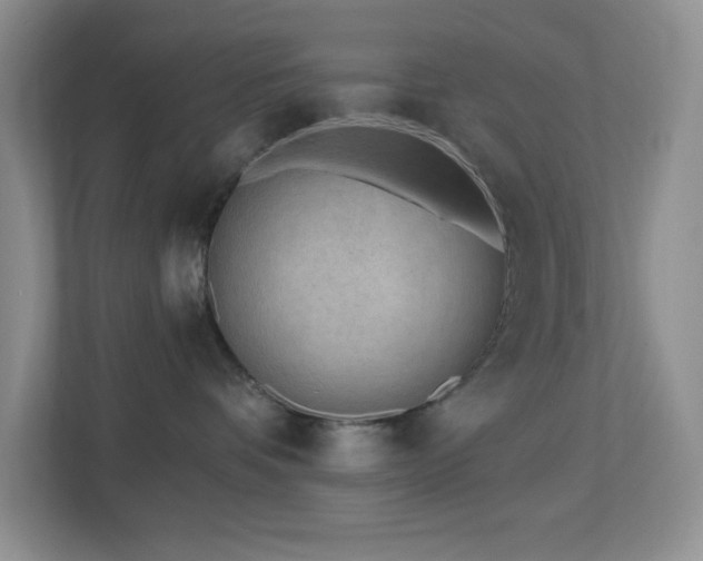 X0000112760336200908201443