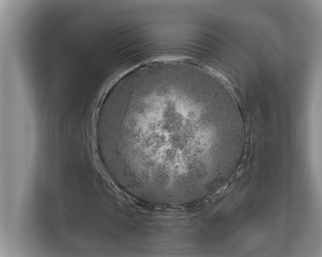 X0000112760337200908201442