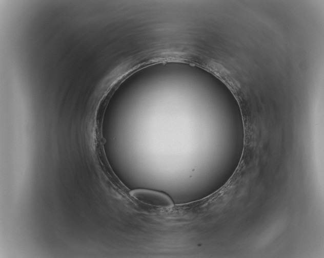 X0000112760338200908201442
