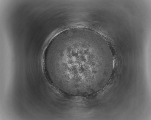 X0000112760339200908201442