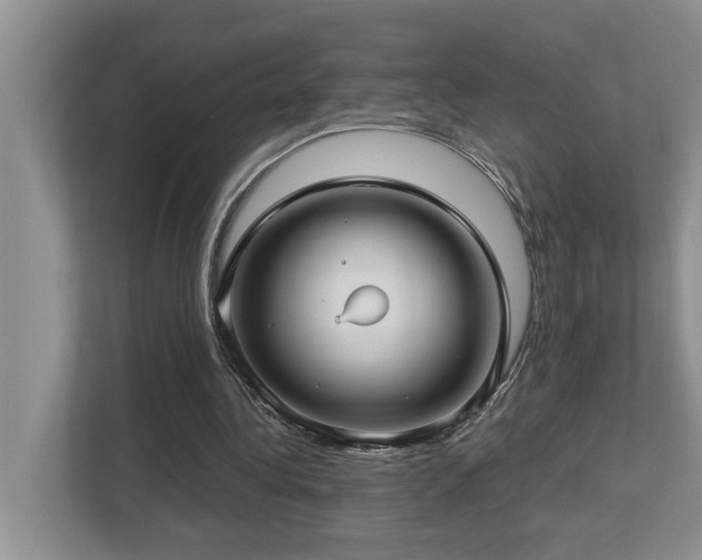 X0000112760340200908201442