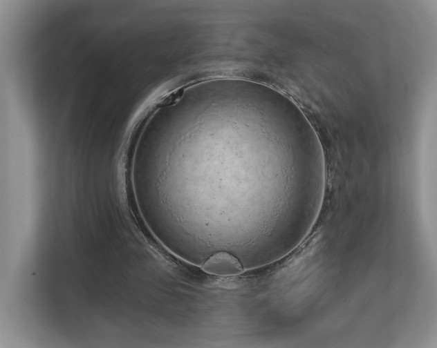 X0000112760341200908201442