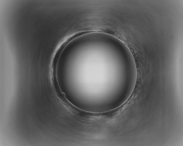 X0000112760342200908201442
