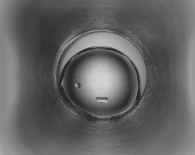 X0000112760344200908201442