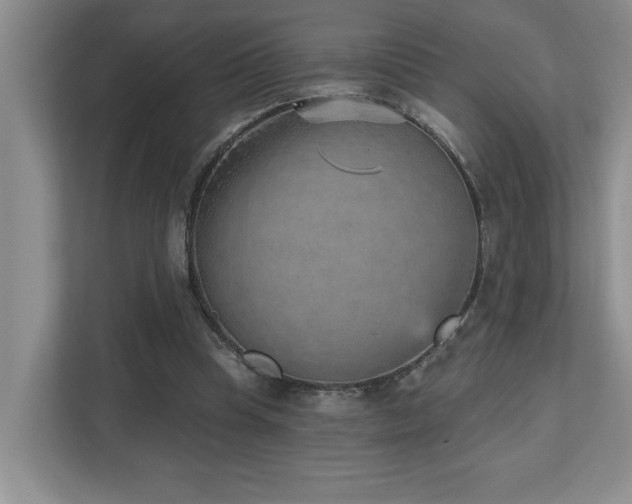 X0000112760345200908201442