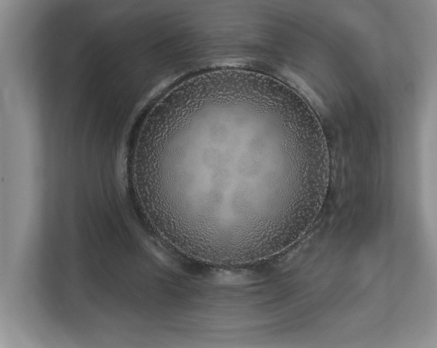 X0000112760346200908201442