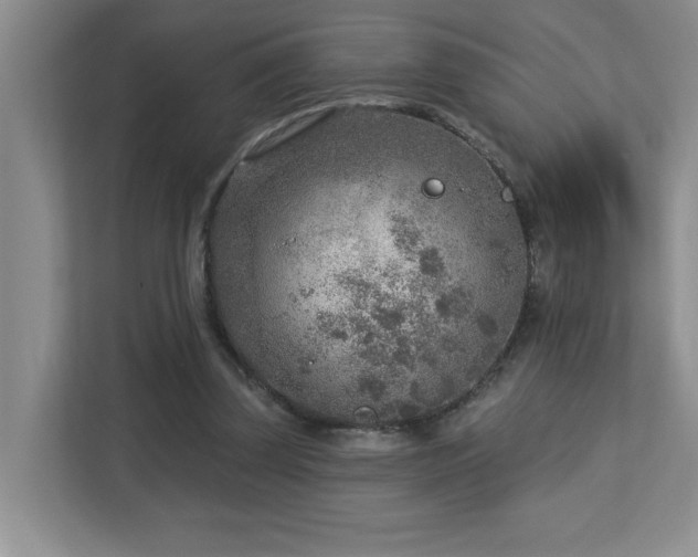 X0000112760347200908201442