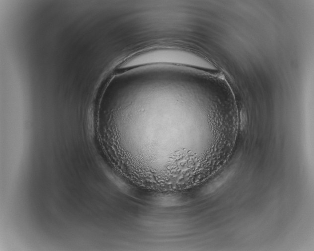 X0000112760349200908201442