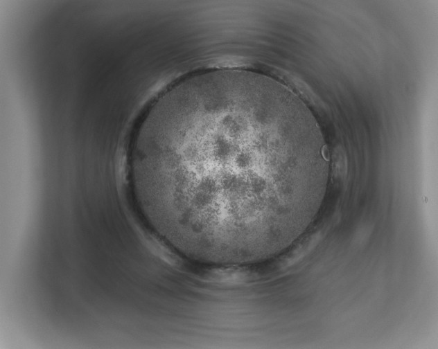 X0000112760351200908201442