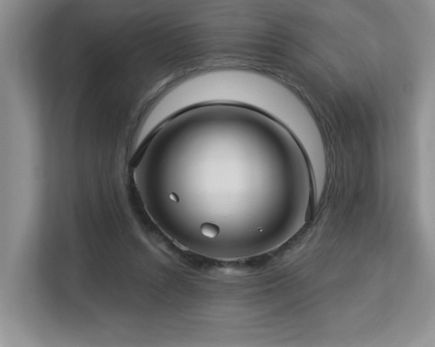 X0000112760352200908201442