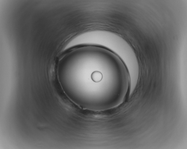 X0000112760360200908201442