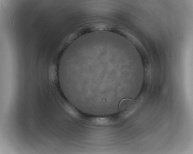 X0000112760361200908201442