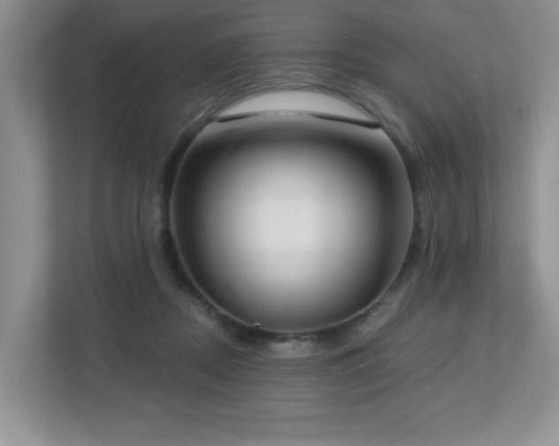 X0000112760362200908201442